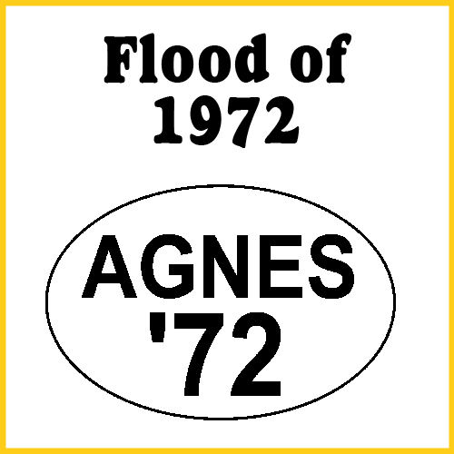 Flood of 1972 Agnes Bumper Sticker