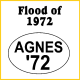 Flood of 1972 Agnes Bumper Sticker 