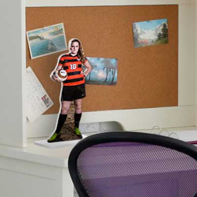shelf buddy acrylic soccer pic