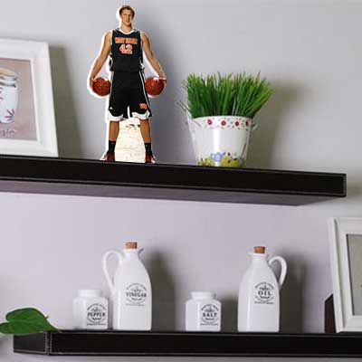 shelf buddy acrylic basketball pic